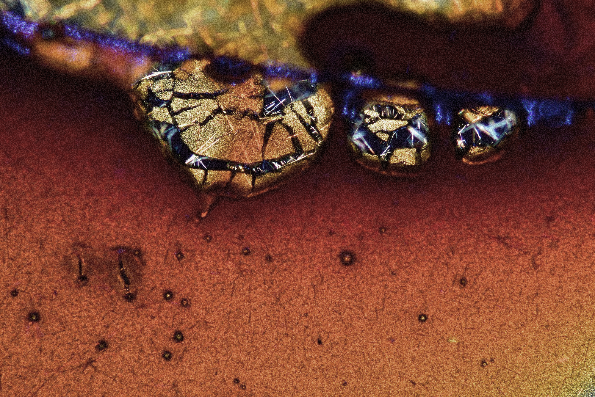 REVEALING THE POTENTIAL OF COFFEE FOR THE INGREDIENTS OF TOMORROW,TODAY.